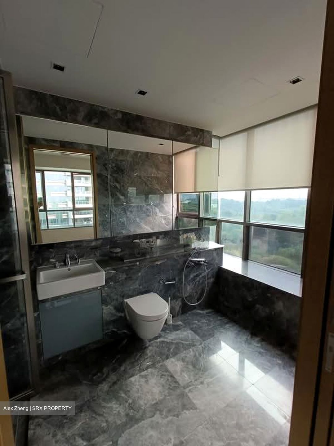Skyline Residences (D4), Condominium #570637331